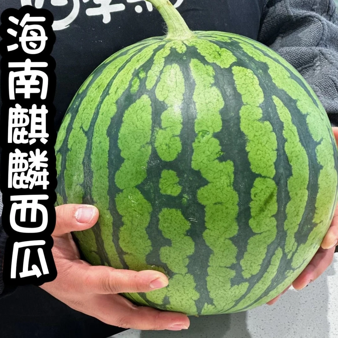【爱心助农】海南西瓜麒麟瓜现摘皮薄新鲜水果应当季美都整个包邮