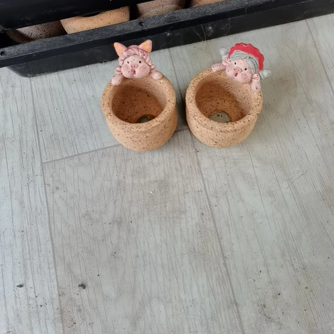 般**J专拍花盆2个25555556