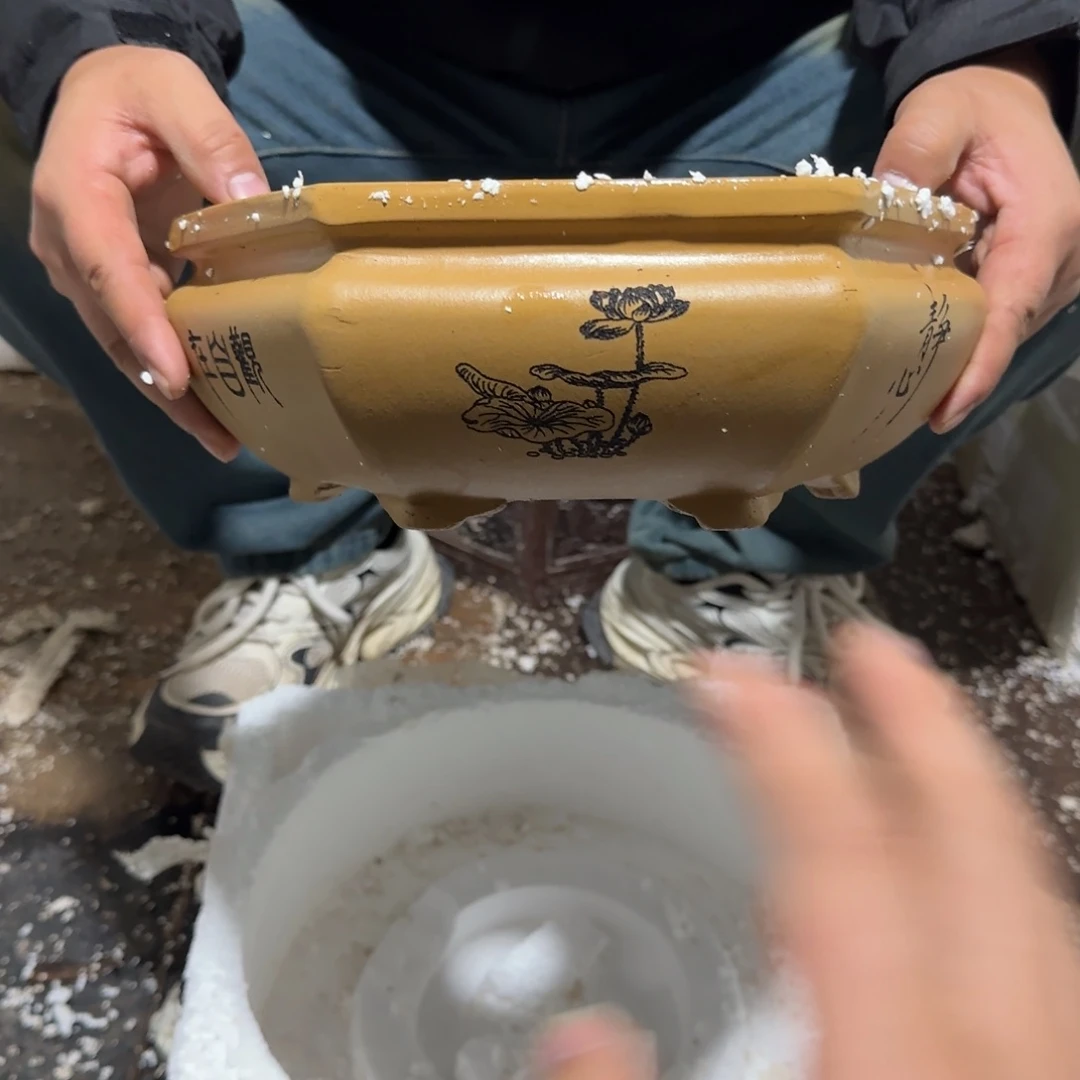 花盆紫砂口径20.10口径
