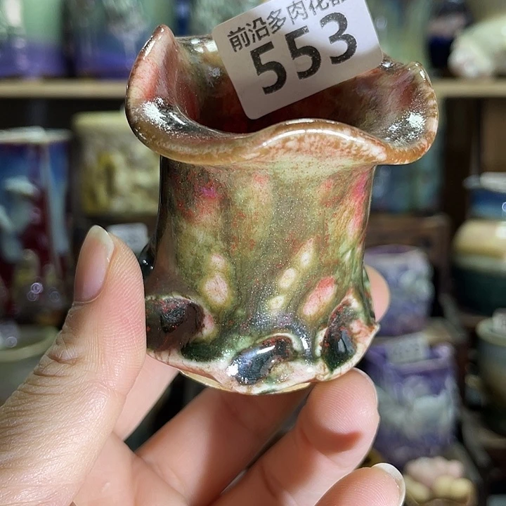 狼盆内口径4高度6