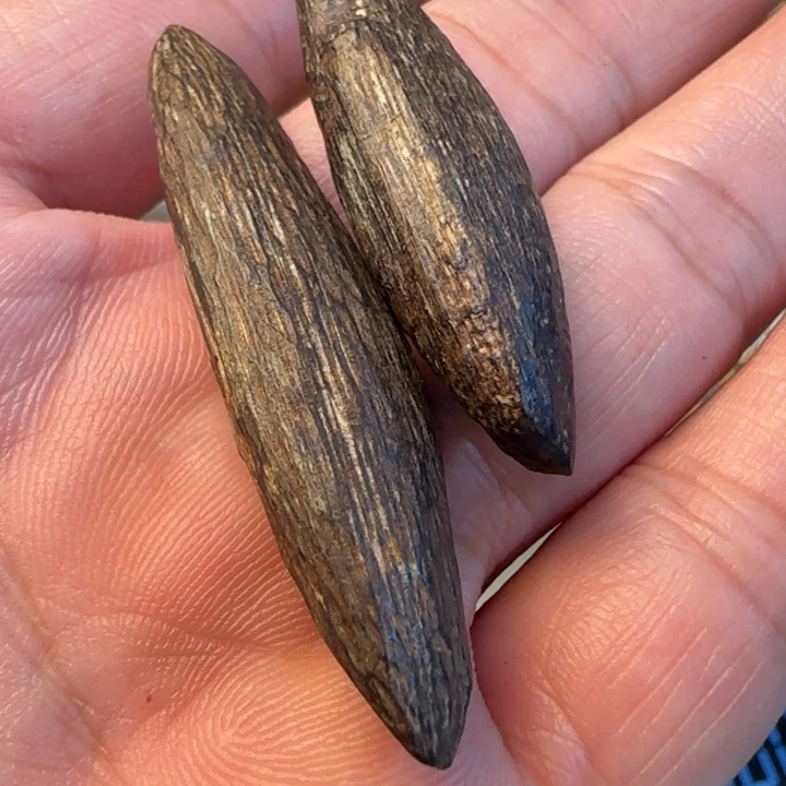 谦***顺摆件沉香海南野生瓜子3.15克