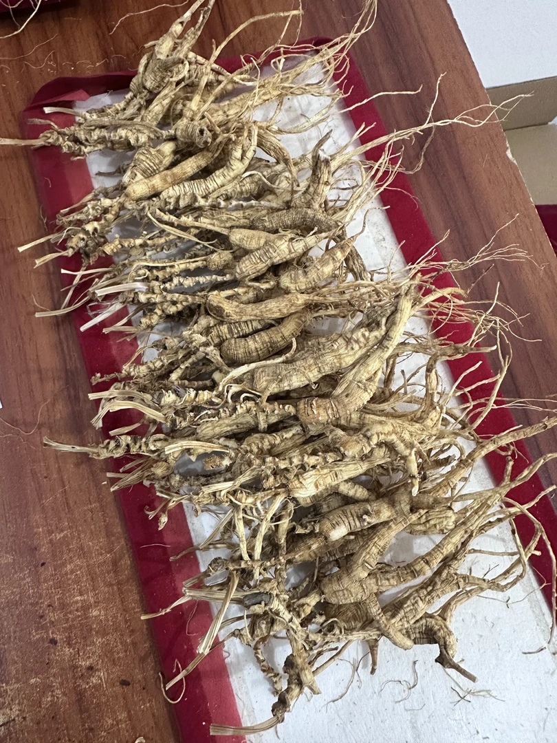 长白山林下参足年老参可用于泡酒的优质