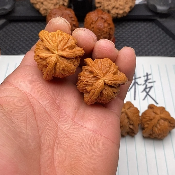 核桃手串/手链白狮子6
