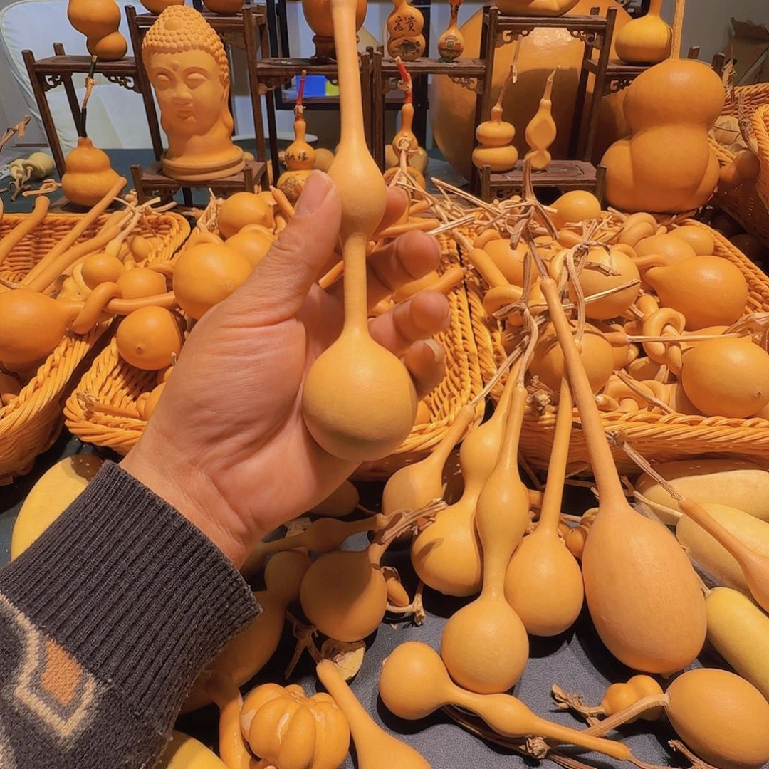 建***国葫芦的造型非常可爱啊我