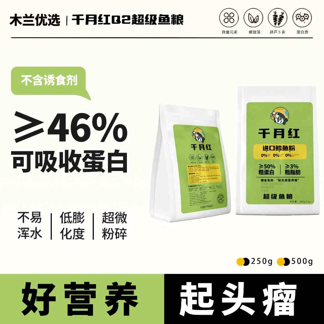 千月红Q2超级鱼粮(中蛋白发头款)金鱼兰寿泰狮玛丽观赏鱼缓沉饲料
