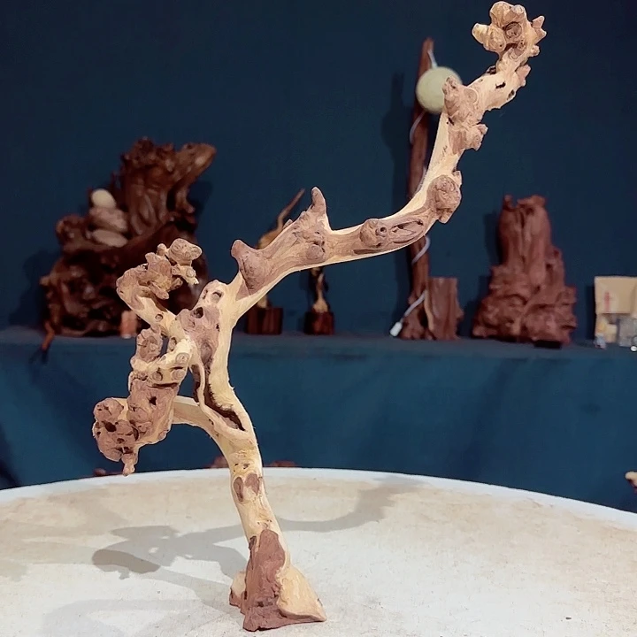 黑果木清**尘651金丝红木羊蹄甲半成品