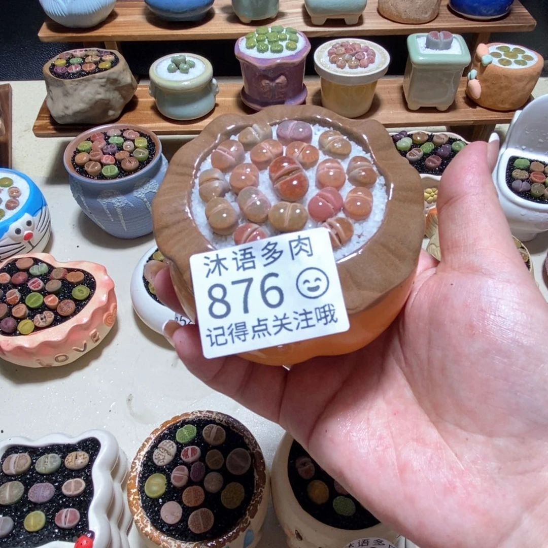 所见即所得 一物一拍876