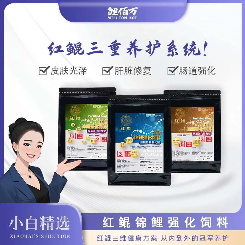 锦鲤强化饲料 红鲲 肝脏修复 肠道强化 皮肤光泽
