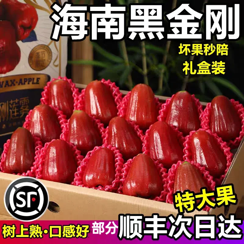 【礼盒装顺丰特快】海南黑金刚莲雾莲雾当季三亚产新鲜水果顺丰包邮
