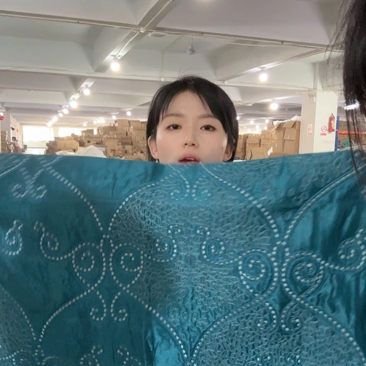 锦纶多款蓝色刺绣高货枕套发一对