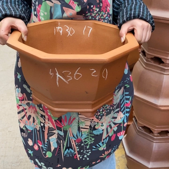 花盆紫砂自己家里人民