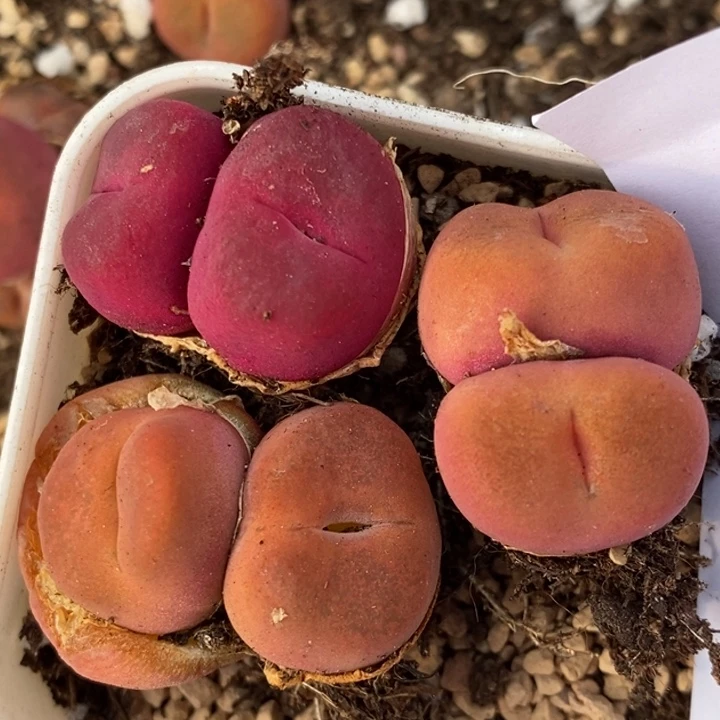 13115一组一组一组