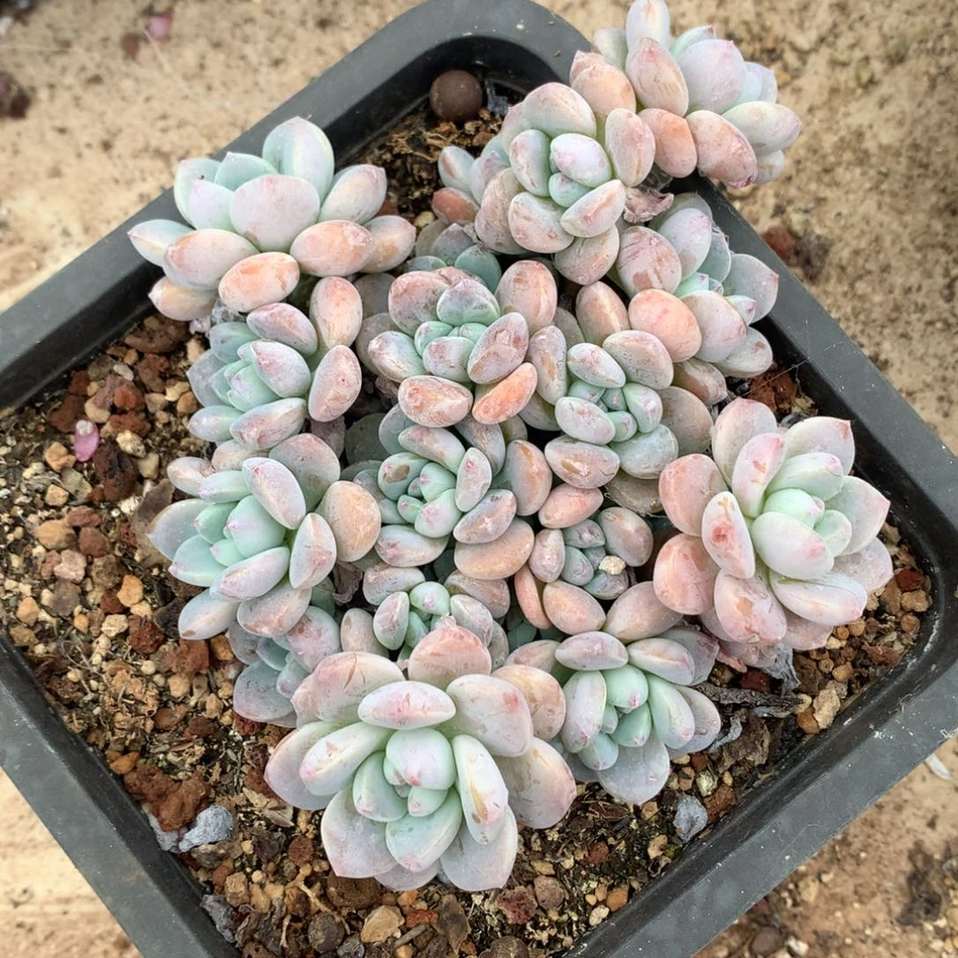 哈哈哈哈哈哈哈哈哈