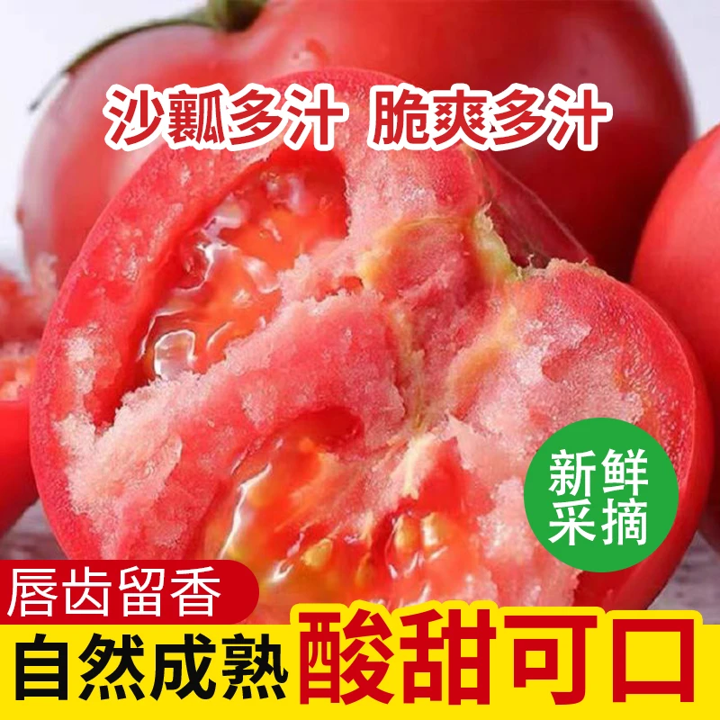 精选沙瓤西红柿新鲜当季水果自然熟生吃番茄多汁