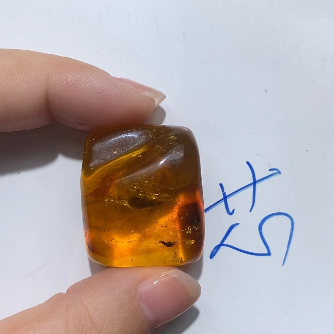 定制琥珀未镶嵌虫珀