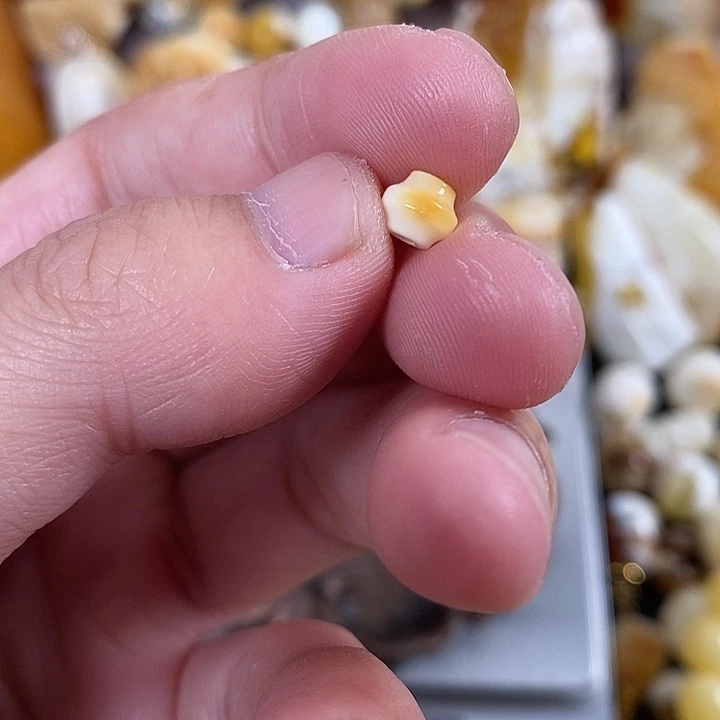 琥珀未镶嵌裸石我