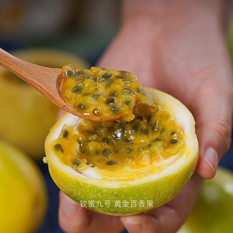 【异域奇果】钦蜜9号黄金百香果 10/16枚 单果重70-90g