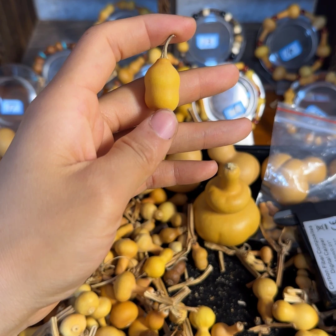 玉***打孔后不退不换！