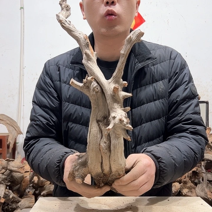 柏木贺****场我们的生活也是如此