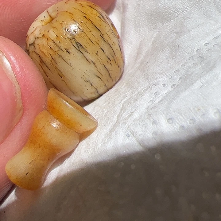 香榧木在家了一个小时