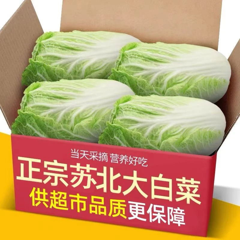 苏北霜冻大白菜原产地发货