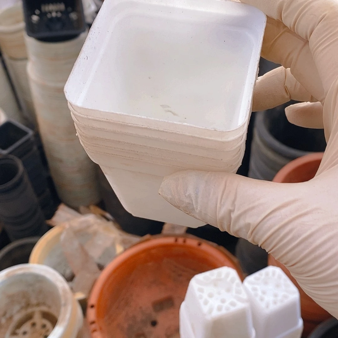 塑料新7公分白方盆软50个