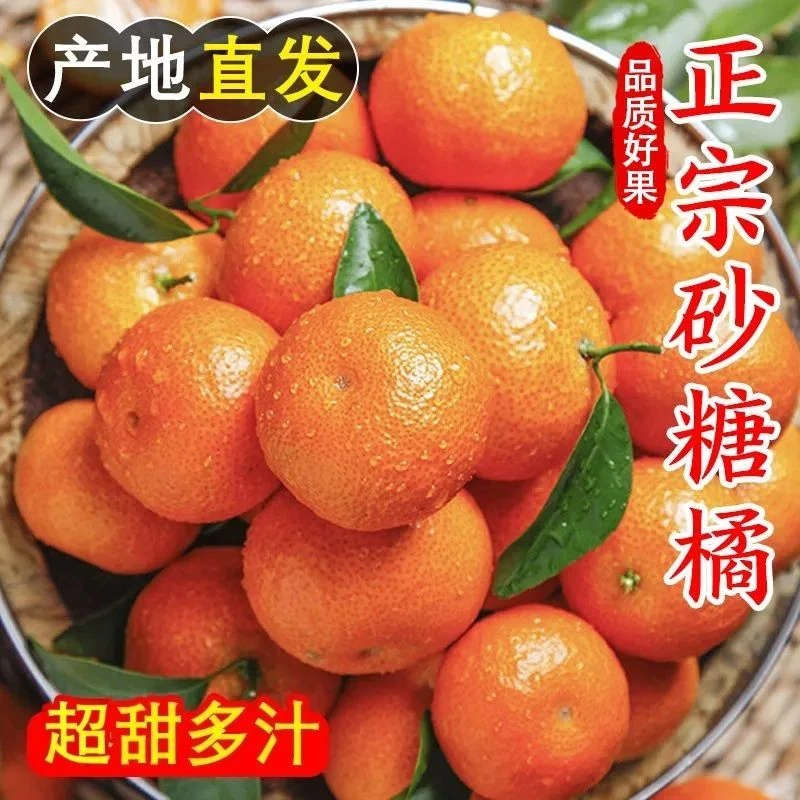 【广西砂糖橘】正宗沙糖桔爆甜无籽皮薄大个新鲜应季水果整箱包邮
