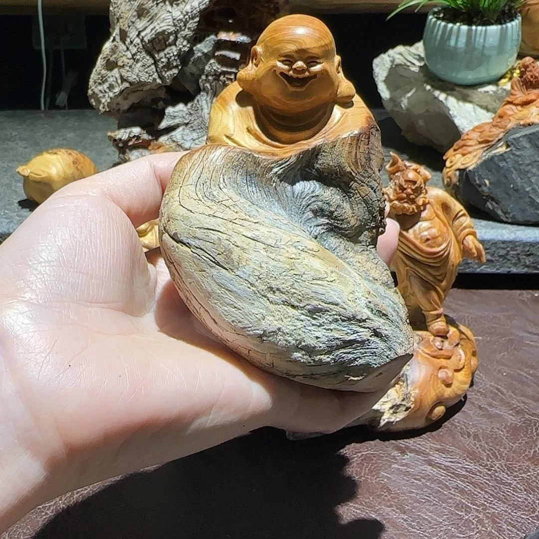 柏木（崖柏）太行集团