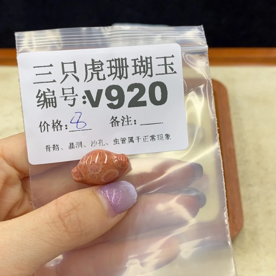 硅化珊瑚（珊瑚玉）未镶嵌1?**u