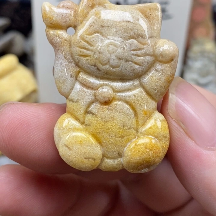 硅化珊瑚（珊瑚玉）未镶嵌颈饰