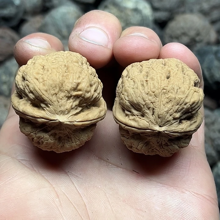 文玩核桃把件42号花中花花35尺