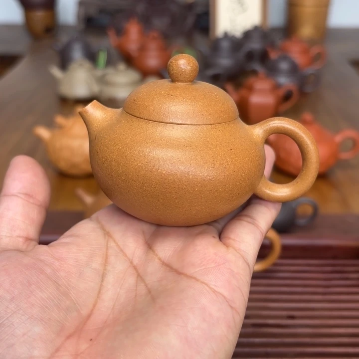茶壶紫砂文旦100毫升黄金段
