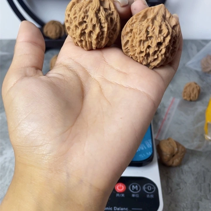 小**乖灯笼小磕尖。