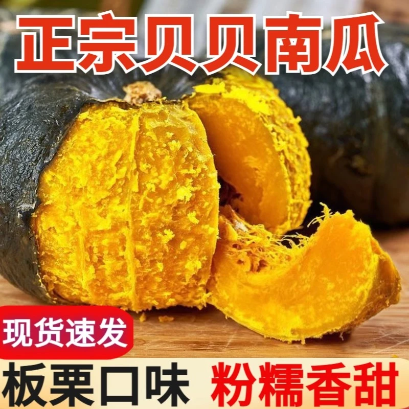 【坏果包赔】山东小南瓜正宗粉糯香甜板栗味新鲜现摘粗粮贝贝南瓜
