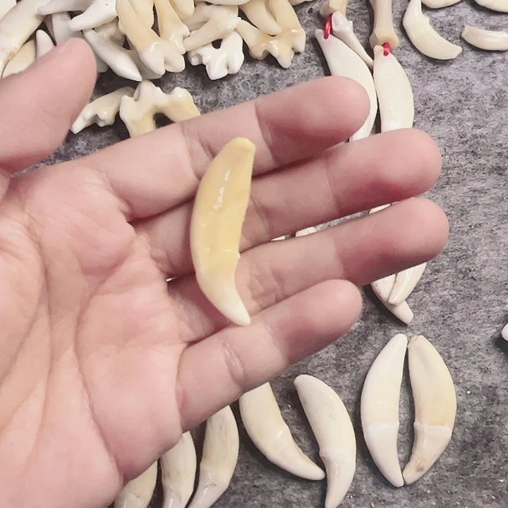 非金属无原生黑牙一颗