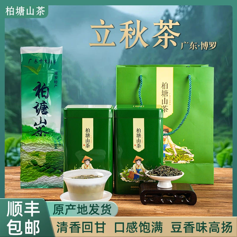 正宗柏塘山茶立秋茶茶婆手工炒茶柴火客家炒青绿茶惠州博罗特产