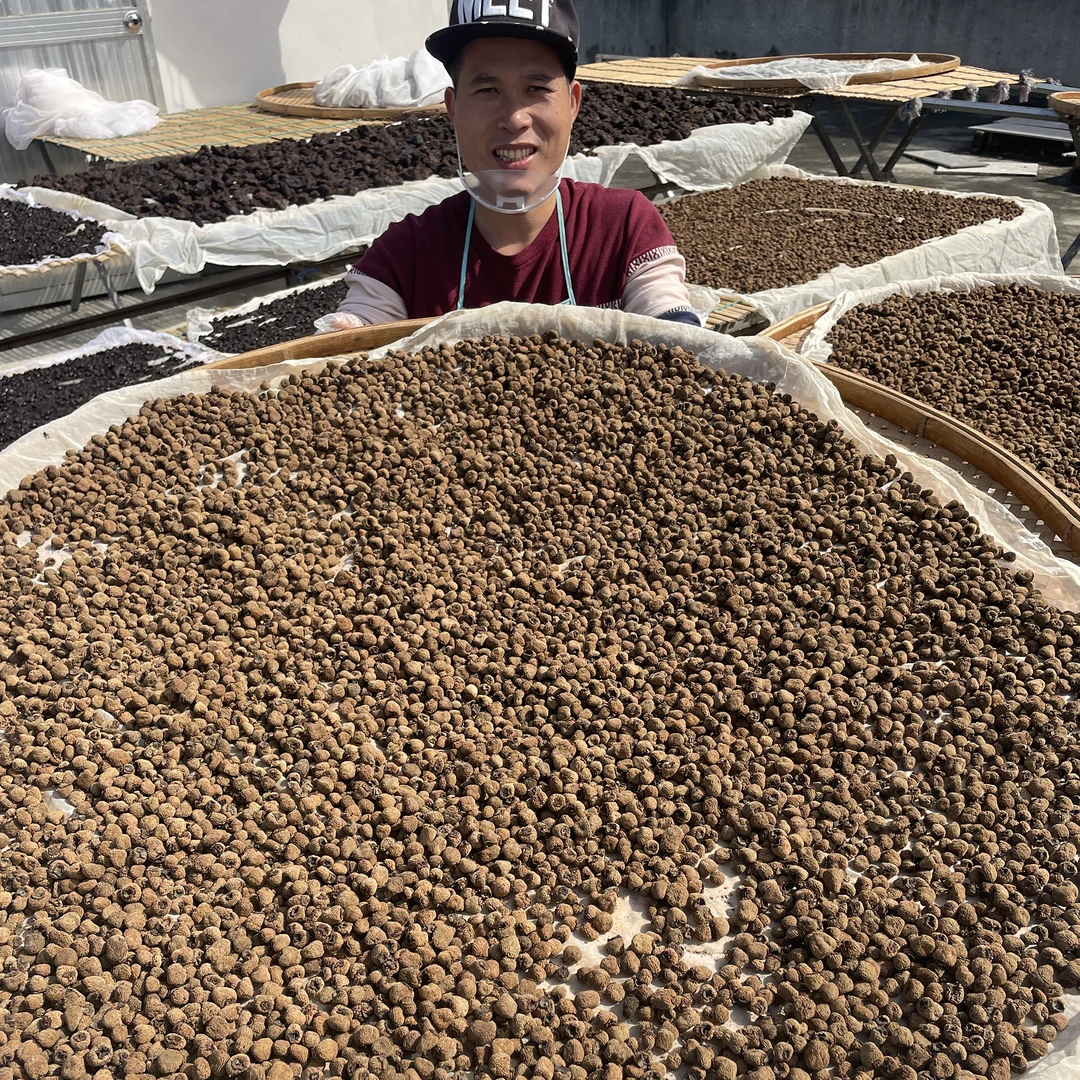 覆盆子九蒸九晒《林蒸师》瓦缸柴火古法炮制覆盆泡煮水泡酒乌藨子熟