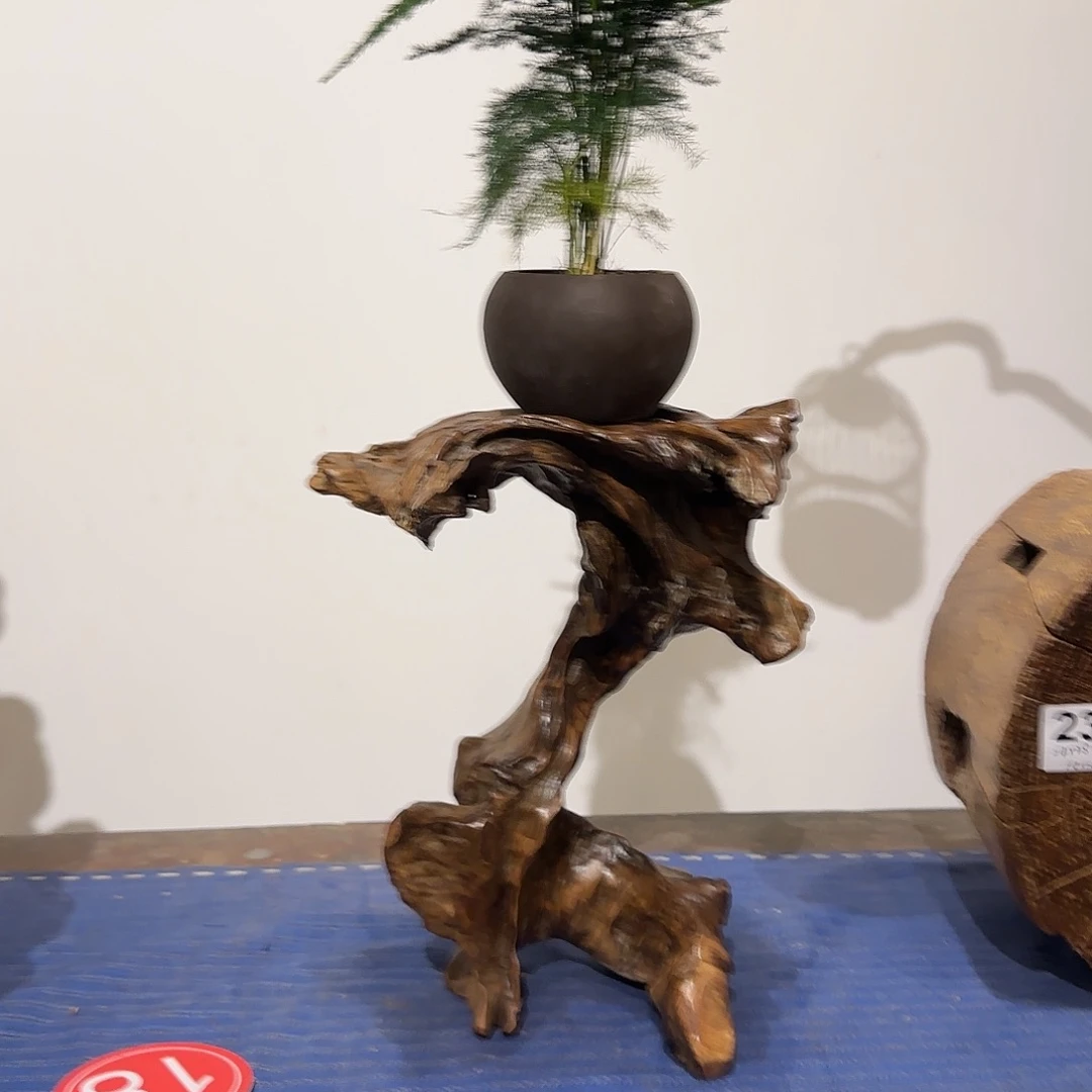 晓***茗木一物一拍实物实拍