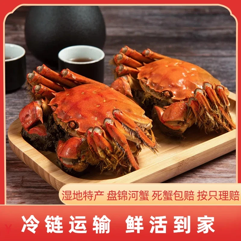 【活蟹】盘锦河蟹 （1.3-1两）到手22只 公蟹11只+母蟹11只稻田蟹新鲜发货