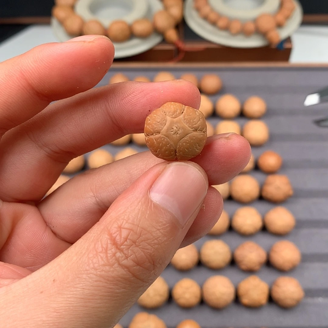 吊坠凤眼菩提17+五星，非质量问题开孔不退