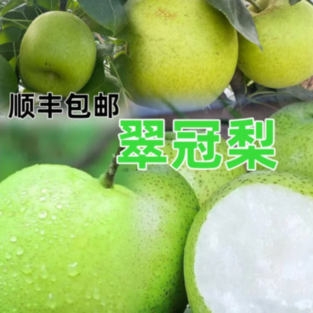 【顺丰直发】四川农家露天丑梨子翠冠梨香甜化渣口口爆汁