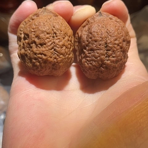 文玩核桃把件府上有龙带彩42