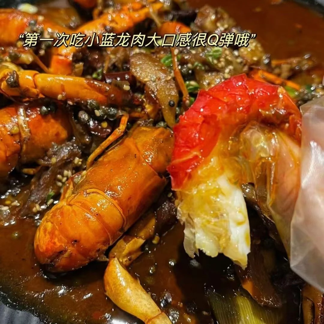 新鲜澳洲蓝龙虾净重三斤装到家保鲜不包活