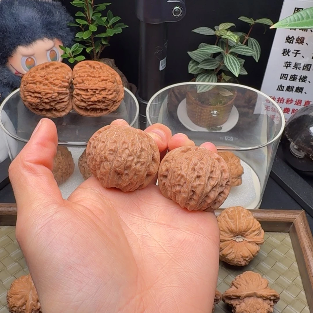 吊坠龙脊菩提全品乾隆磨37