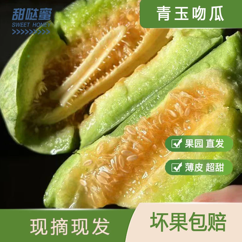 青玉吻甜瓜脆甜多汁新鲜水果孕妇香甜瓜