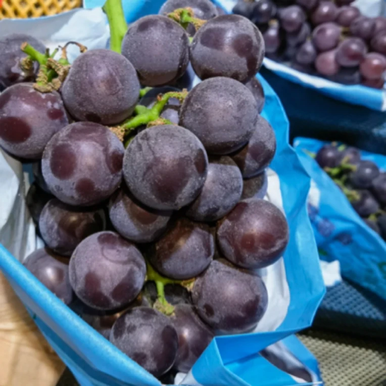 【同城配送】夏黑精品葡萄 酸甜爽口 1串 1-1.5斤左右葡萄同城送山东省