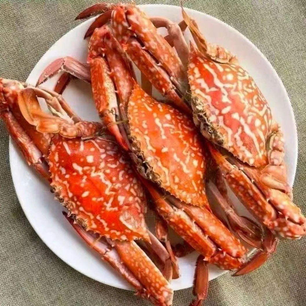 【许榕真专属】船冻【鲍九州】野生兰花蟹 规格6-8两/只 3斤约4-5只