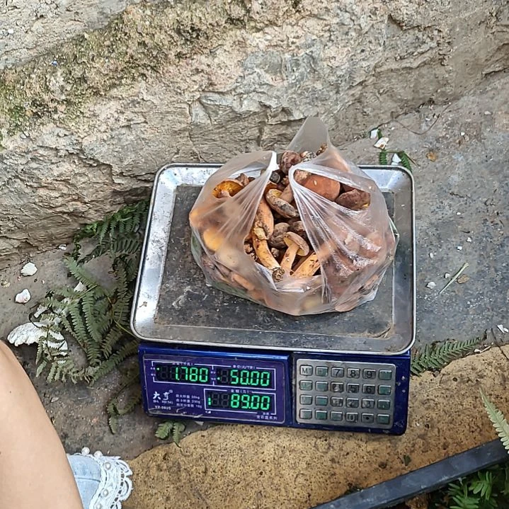 奶浆菌中国大陆H*a