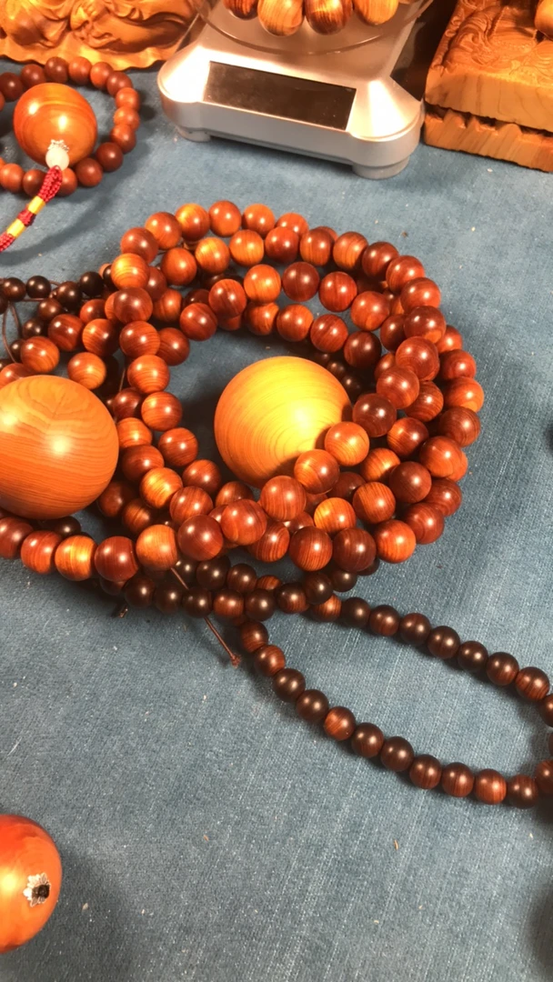 太行崖柏，编号302