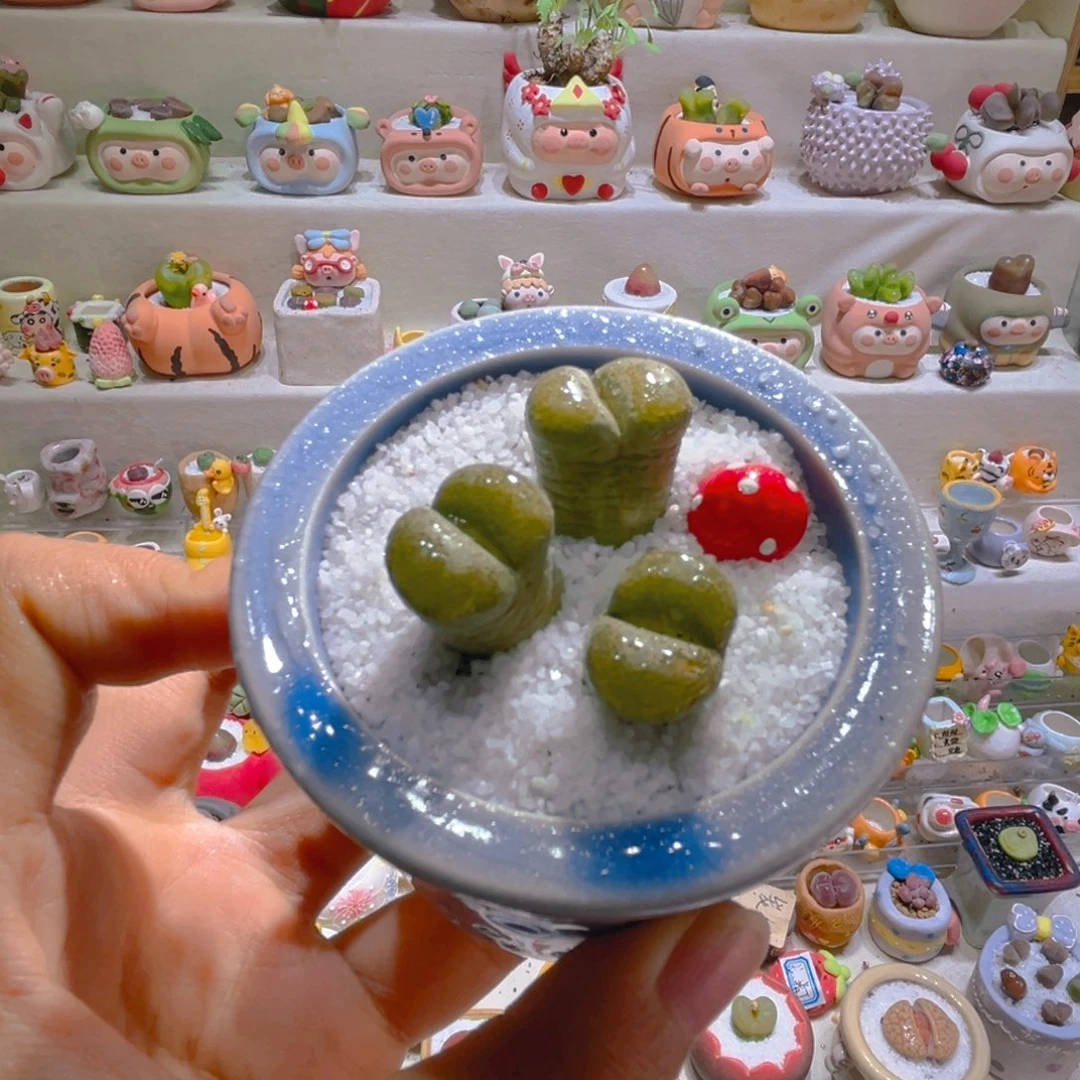 033绿碧琉璃带盆土一套28